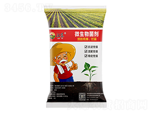 ΢����������A�����������磩-�h���r(n��ng)�I(y��)