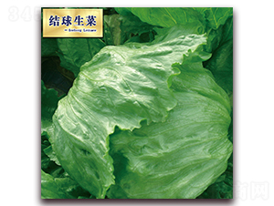 ���֣�101��-���˷N��-ʥ�A���S