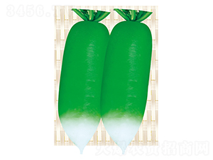 ƽ�S��̖(h��o)-�}���N��-ƽ�S�N�I(y��)