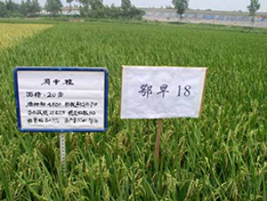 ����18-ˮ���N��-���r(n��ng)�l(f��)