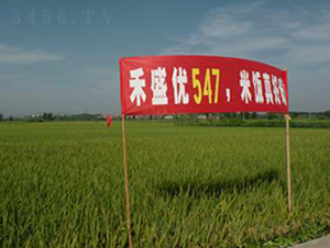 ��9��(y��u)547-ˮ���N��-���r(n��ng)�l(f��)