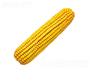 º��5̖(h��o)-���׷N��-���r(n��ng)�l(f��)