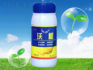 �ָ��~���-�ʺͷʘI(y��)