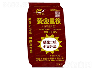 �S�����@20-20-20-�fϲ����