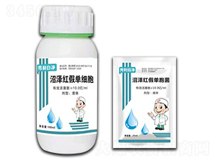 �ӝɼt�نΰ���-�����׃�-¡���r(n��ng)�I(y��)