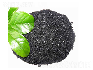 ��ֲ���c-ʢ������