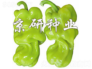 ��Ƥ1̖-�����N��-����