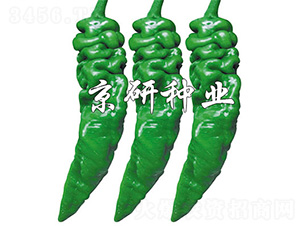 ����97-�����N��-����