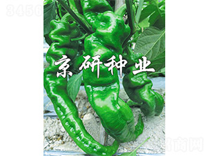 ����26-�����N��-����