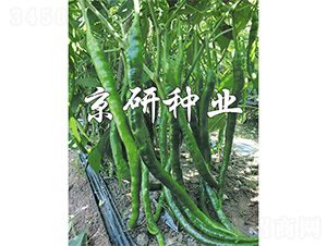 ����158-�����N��-����