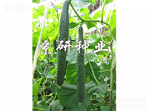 ���Ѓ�(y��u)��-�S�ϷN��-����