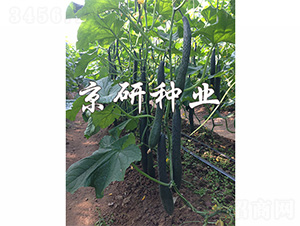 ���S235-�S�ϷN��-����