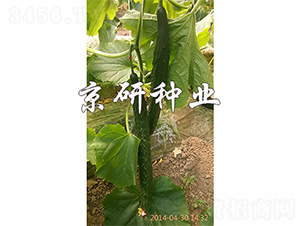 ���S16-�S�ϷN��-����