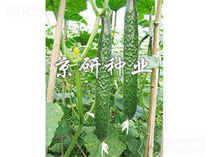 ���д���G2̖(h��o)-�S�ϷN��-����