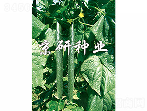 ����403-�S�ϷN��-����