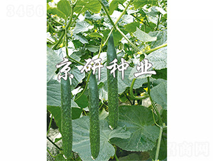 ����402-�S�ϷN��-����