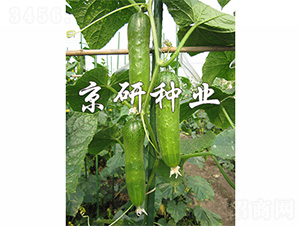 ���оG�ᭇ2̖(h��o)-�S�ϷN��-����