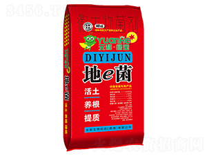 ��e�����w����-Ԫ������