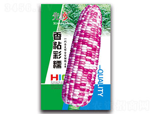 ��ճ��Ŵ-Ŵ���׷N��-���L(f��ng)