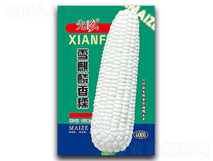 ѩ������Ŵ-Ŵ���׷N��-���L(f��ng)