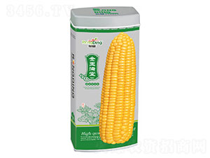 ����M��-Ŵ���׷N��-���L(f��ng)