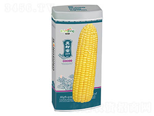 ������338-Ŵ���׷N��-���L(f��ng)