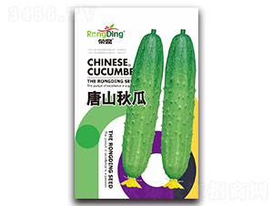 �s����ɽ���-�S�ϷN��-���L(f��ng)