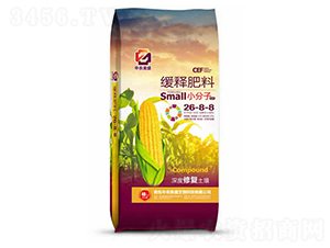 ��ጷ���26-8-8-���r��ʢ����