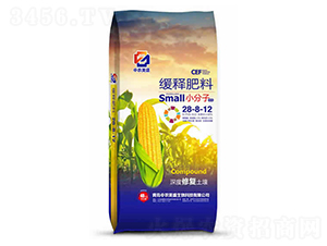 ��ጷ���28-8-12-���r��ʢ����