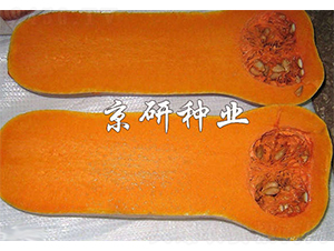 �S��2̖(h��o)�Ϲ�-�ϹϷN��-����