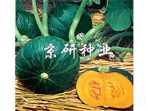 �������G��-�ϹϷN��-����