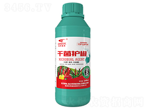 ΢�������-�ɾ��o(h��)��-(li��n)��μ�