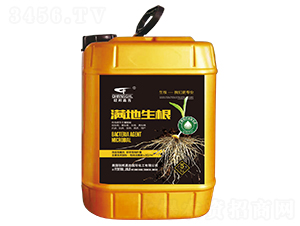 �M������-(li��n)��μ�