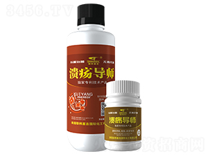 ������(d��o)��-(li��n)��μ�