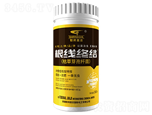 �����K�Y(ji��)-(li��n)��μ�