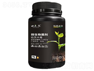 ΢�������-���-��ʢ����