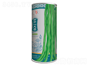 萬斤一尺青-架豆種子-先風