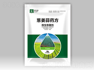 ΢�������-�[����ˎ��-��������