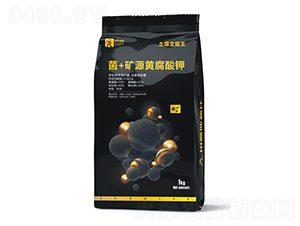 ��+�VԴ�S�����-����ȫ����-��������