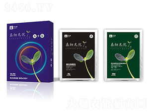 ΢�������-�漚(x��)�o�nA+B-��������