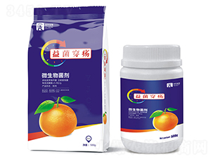 ΢�������-�������-��������