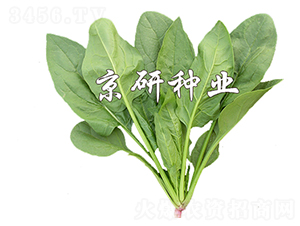 ����186-���˷N��-����