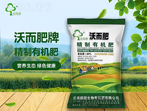 �����ЙC(j��)��-�ֶ���-�i������