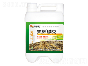 Ц�։A��-���՘�-��(r��n)�ɷʘI(y��)