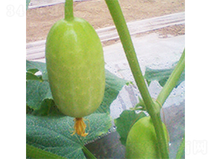 ��ͯ��Ů-�S�ϷN��-���A�N�I(y��)