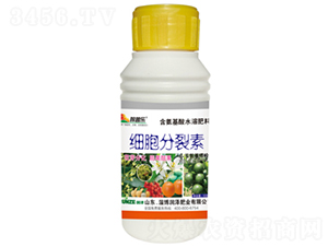 ��(x��)��������-���՘�(l��)-��(r��n)�ɷʘI(y��) 