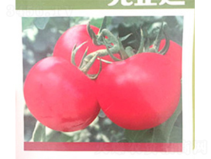 ؐ��-���ѷN��-���A�N�I(y��)