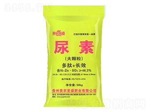 ����-��ʢ�ʘI(y��)