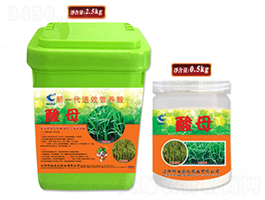 ��һ����Ч�I(y��ng)�B(y��ng)��-��ĸ-�����r(n��ng)��