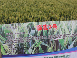 �R��2̖(h��o)-С���N��-���r(n��ng)�l(f��)